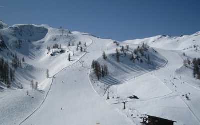 French Skier Marie Bochet gets a gold medal
