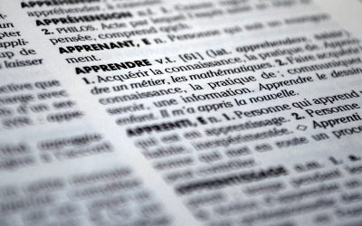 Savez vous ce qu’est un ou une pythonisse?