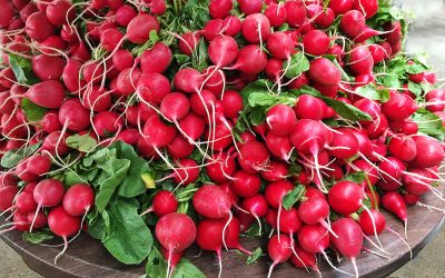 Des légumes en cuisine et en classe de français