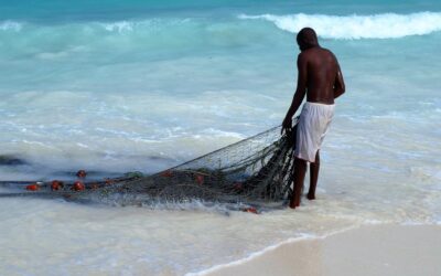 Book Club in Bristol – Le rêve du pêcheur de Hemley Boum 19/11/26 or 26/11/26