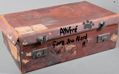 Les Aventures du chien Allifré (1)