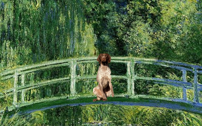 Les Aventures du chien Allifré (3) Monet