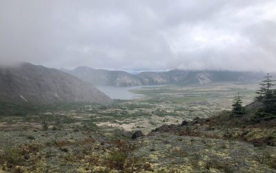 Les Aventures du chien Allifré (8) à Ste Hélène